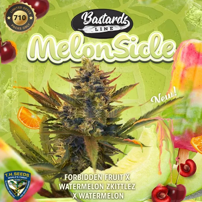 T.H. Seeds - MelonSicle