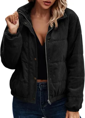Women Warm 2024 Winter Coats Trendy Casual Quilted Parka Lapel Zip Jacket Fashion Windproof Down Puffer Coat Outerwear